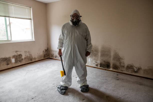 Best DIY Mold Remediation Support Services in Richfield Springs, NY